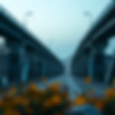 Structural Overview of Aptos Bridge Aptos Bridge structural overview