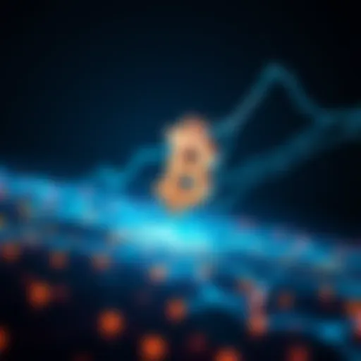 The evolution of blockchain from C language to the Lightning Network