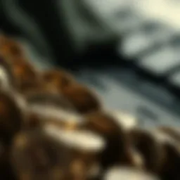 Understanding cryptocurrency disclosures