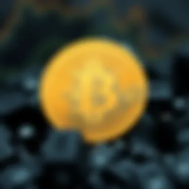 Trends in cryptocurrency markets