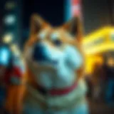 Representation of the Doge meme in digital culture