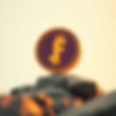 Future outlook of Fancy Coin