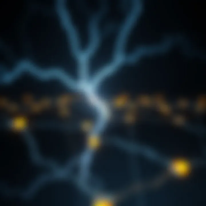Illustration depicting the structure of the Lightning Network