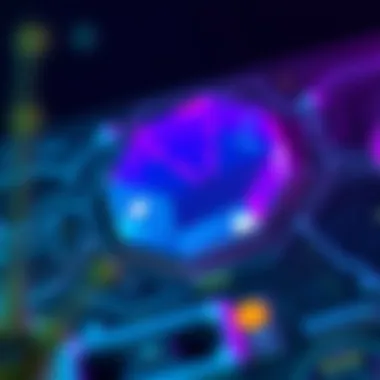 Technical features of Polygon as a scaling solution