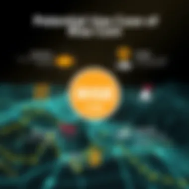 Diagram showcasing potential use cases of Rise Coin