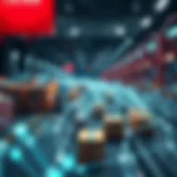 A detailed representation of a supply chain network